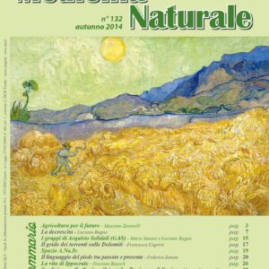 Medicina Naturale n. 132