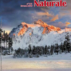 Medicina Naturale n. 141