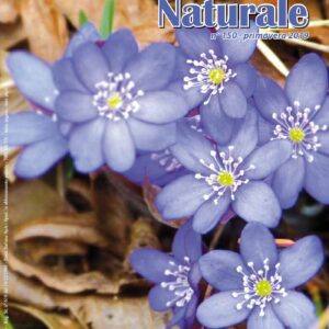 Medicina Naturale n. 150