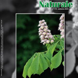 Medicina Naturale n. 172